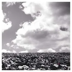 【中古】花の名