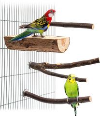 Item thumbnail for item 3c7f7d3b-611d-4584-96ee-435e4d407f71