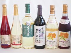 モナンシロップ12本セット（カシス、ライチ、マンゴー、ココナッツなど） モナンシロップ12本セット（カシス、ライチ、マンゴー、ココナッツなど