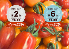 『プレミアムおのんとまと』プロ農家直送　ミニトマト　高糖度フルーツトマト　フラガール　正味2.4kg