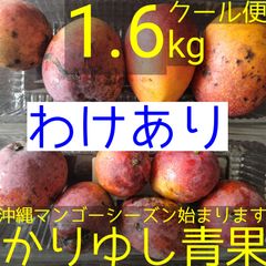 沖縄産★ミニマンゴー 約6kg クール便発送 沖縄県産マンゴー