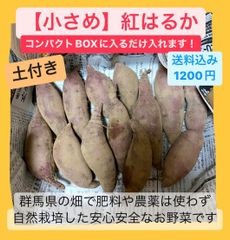 【ミニサイズ】なっちゃんの紅はるか