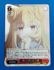 ヴァイス 英語版 SEC+ 怒涛の撮影スケジュール MEMちょ サイン - メルカリ