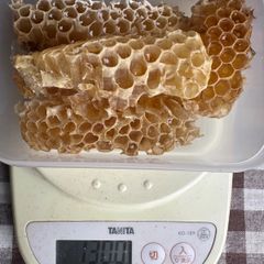 あかしあ巣蜜130g  巣みつ　ハチミツ　西洋ミツバチ　コムハニー