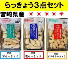 【宮崎のお漬物】熟成・甘らっきょう　塩らっきょう　ピリ辛らっきょう　90g3袋