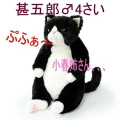 Fabrico ネコぬいぐるみ ハチワレ ネコクッション - メルカリ