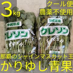 沖縄県産　〈農薬不使用〉最強野菜　クレソン　約３kg　【クール便】③