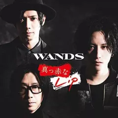 WANDS 第5期 会報誌 5冊セット vol.4、6、7、8、9バラ売り可 2025年最新】WANDS第5期の人気アイテム - メルカリ
