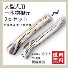 【クーポン発行中】大型犬用　一本物　根元2本セット　鹿の角　犬のおもちゃ　鹿の骨　F