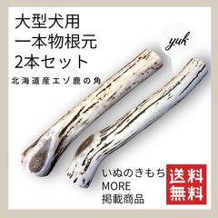 【クーポン発行中】大型犬用　一本物　根元2本セット　鹿の角　犬のおもちゃ　鹿の骨　Fのサムネイル