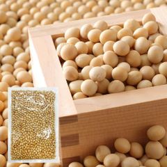 ふくまめ ソフト焙煎 非常食 福豆 節分豆 たんぱく質 栄養補給 おやつ プロテイン 国産大豆 まめまき