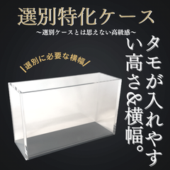 【五藤めだか】選別特化AB品(透明) メダカ用 ケース 撮影 横見
