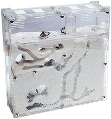 Item thumbnail for item 3415230b-5af8-4c2c-aec2-28d2513df085