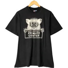 古着 ヘインズ Hanes カレッジTシャツ USA製 メンズL相当 ヴィンテージ/eaa551215