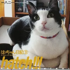 はっちゃん日記 ぬいぐるみ(座り) ハチワレ猫 タグ付き 2026年最新