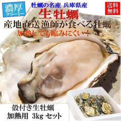 生 牡蠣 加熱用 カキ かき 貝 かい 新物 殻付き 真牡蠣 室津産 3キロ 産地直送 バーベキュー BBQ