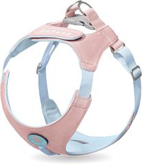 Item thumbnail for item 2902fd76-847c-4f9d-ab71-6c10429dfdc6