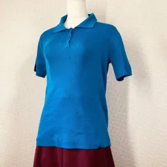 【ローズバッド】ニット　セーター　青　F　半袖 ポロシャツ ニット ストレッチ Y2K　フェアリーグランジ　森ガール