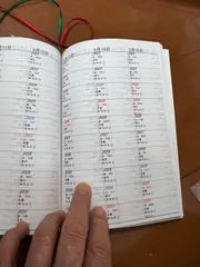 2025年開始月指定可能 10年日記 A5版 顔料系 1ページ3日 行数変更可能
