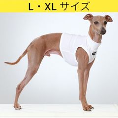 メルカリ イタグレ服 接触冷感 L・XL ひんやり クール メッシュ クロップド 小型犬 中型犬 大型犬 夏 doggystar ドッギースター