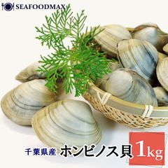 ホンビノス貝 （大あさり）千葉県産 ホンビノスガイ 9～12個入り 1kg バラ凍結・ホンビノス貝１ｋｇ・