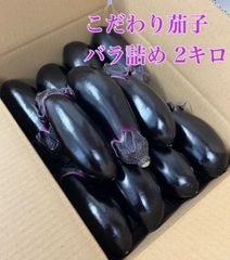 こだわり茄子　バラ詰め　60サイズ