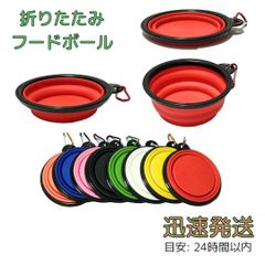 Item thumbnail for item 02977c2b-a3a3-44f2-b1fa-53526a07c672