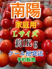 2 予約販売　北海道産　さくらんぼ　南陽　Lサイズ　1キロ