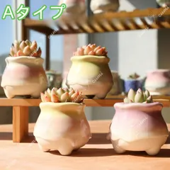 N0345 韓国  2号 【4個セット】雫シリーズ G かわいい 窯変 植木鉢 室内 陶器鉢 多肉 植物 鉢植え 激安 レア インテリア プレゼント 海外 盆栽 おすすめ プランター 人気 デザイン 観葉植物