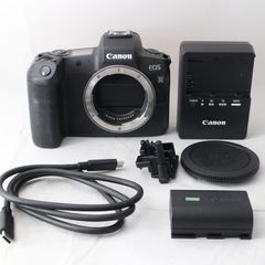 Canon EOS6Dレンズセット バッテリー5個 ストロボ 一脚 モニター等 