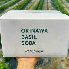 バジル香る新感覚沖縄そば 冷凍セット お取り寄せ グルメ ギフト 贈答用 人気