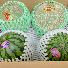 【選果落ち 訳あり商品】 熊本県産 小玉赤肉メロン2玉＆小玉西瓜 Mサイズ 2玉 合計約4.3㎏ 【002】規格外 家庭用 贈答不可 加工用 すいか スイカ めろん 発送予定日 ６月初旬