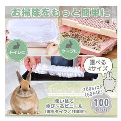 Item thumbnail for item b08551de-f5c4-48f3-aa35-ea82ff200234