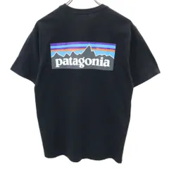 2024年最新】ビンテージ パタゴニアtシャツの人気アイテム - メルカリ