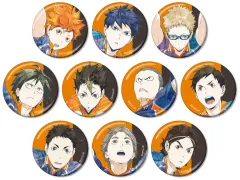 【中古】バッジ・ビンズ 全10種セット 「ハイキュー!! トレーディング Ani-Art 第3弾 メタリック缶バッジ」