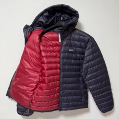 【希少！人気カラー】パタゴニア ダウンセーターフーディ