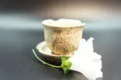 【茶道具】煎茶の炭　茶道　煎茶　炭 2026年最新】煎茶炭の人気アイテム - メルカリ