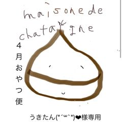 うきたん(*´꒳`*)❤︎様専用　おやつ便　シフォンケーキサンド　チーズケーキ　テリーヌ
