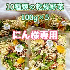 【にん様専用】10種類の乾燥野菜100g×5袋