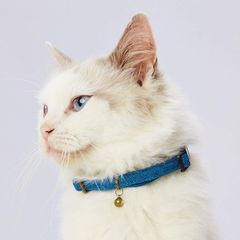 【メール便】ペティオ ネココ necoco イエロー/グレー/グリーン/ブラウン/レッド/ブルー 猫用 首輪 鈴 セーフティーバックル 可愛い/ブルー [ブルー]