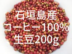 希少【幻の石垣島産コーヒー100％】☆コーヒー生豆200g入り☆必見国産コーヒー