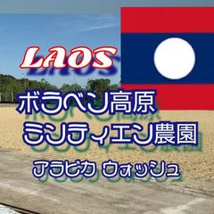 ラオス ボラベン高原 ミンティエン農園 アラビカ ウォッシュ G1★スペシャリティコーヒー　100g入り★ラオス珈琲豆★自家焙煎コーヒー豆★シングルオリジン★エムリバーサイドコーヒー★M river side coffee