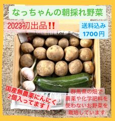 なっちゃんの朝採れ野菜【農薬不使用国産ニンニク入り】
