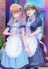 ★女神のカフェテラス Blu-ray アニメイト全巻購入特典 A5アクリルパネル 女神のカフェテラス Blu-ray アニメイト全巻購入特典 A5アクリル