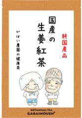 国産 生姜紅茶 3g×40包【がばい農園公式】