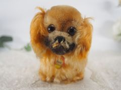 送料無料★シュタイフ★Pekinese Peky ID's完品★ペキニーズ★STEIFF/Steiff
