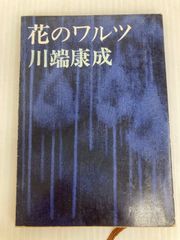 日本語広東語辞典   /東方書店/孔碧儀（単行本） 日本語広東語辞典 | 孔 碧儀, 施 仲謀 |本 | 通販 | Amazon
