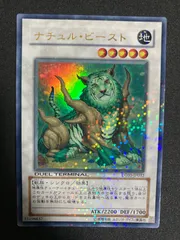 2025年最新】ナチュル・ビースト DTの人気アイテム - メルカリ