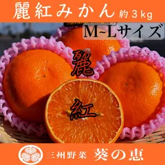 2025年最新】麗紅みかんの人気アイテム - メルカリ