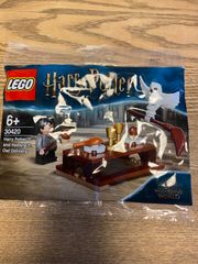 LEGO レゴ　ハリーポッター&ヘドウィグ　新品未開封